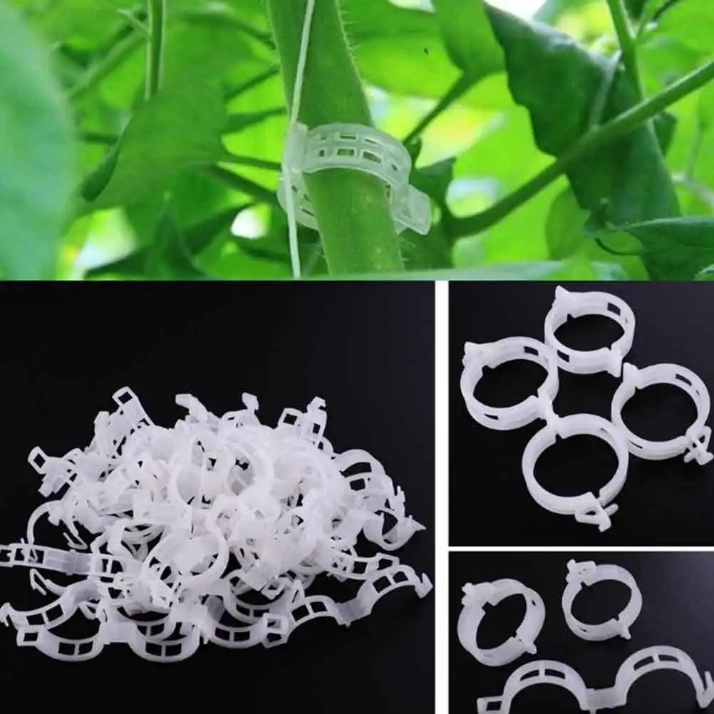 150 Uds Clips para plantas Clips de plástico para vid de jardín para tomates, pepinos, pimientos, melones Clip fijo Clip de vid de plástico