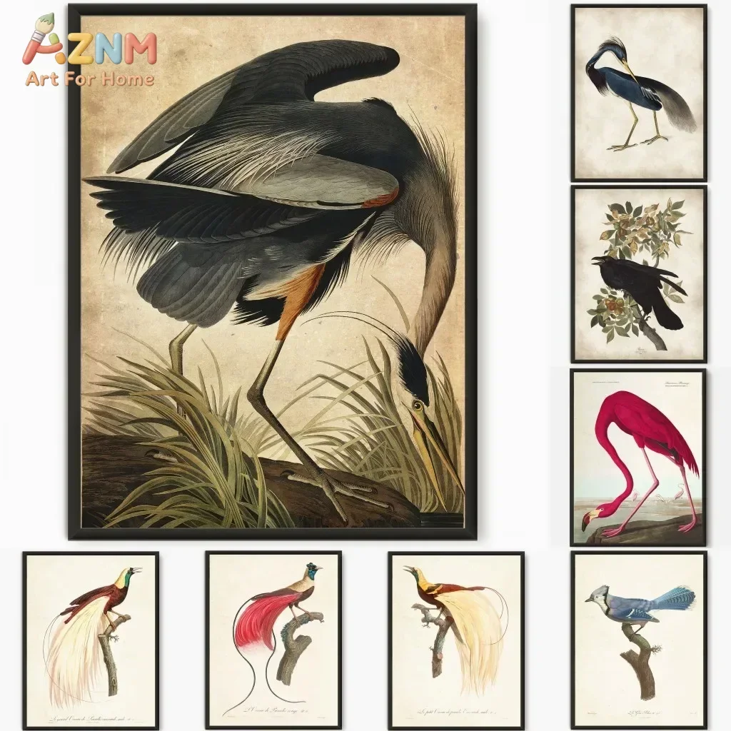 AZNM Frameless Canvas Wall Art, Vintage Audubon Heron Flamingo Tropical Bird Botanical Illustration Print Poster for Study Livin