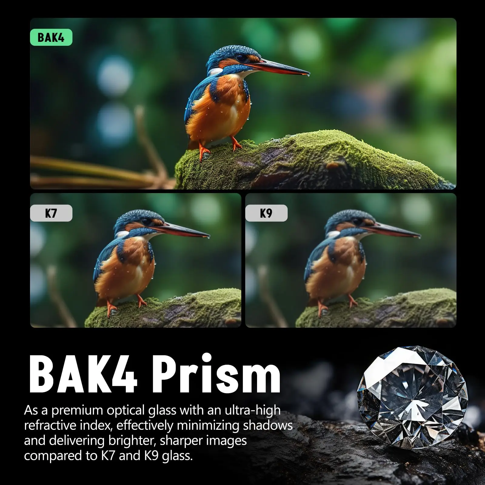 Spotter Scope zum Ansehen von Wildtieren 20-60x80 BAK4 Wasserdichtes Spektiv-Kit mit Stativ-Tragetasche und Telefonadapter Grün