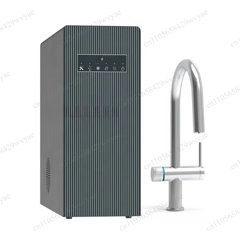 Domestic Soda Sparkling Water Machine, Hot and Cold Drinking Water Purifier with Kitchen Faucet