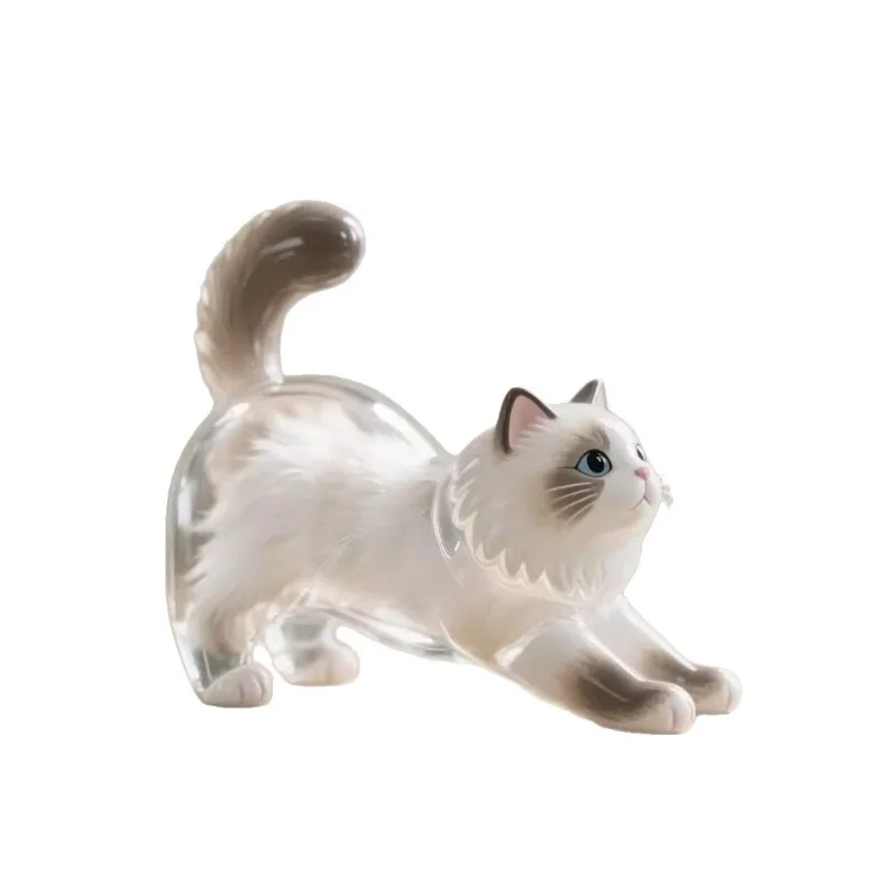 

Transparent kitten hair storage box, pet hair storage souvenir keychain decorative pendant