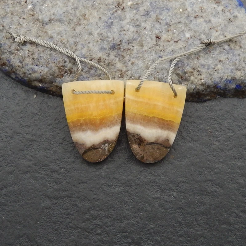 Natural Bumble Bee Stone Earrings for Women Semiprecious Fine Jewelry Accessories Factory Direct New Arrival 23x17x4mm 5.7g