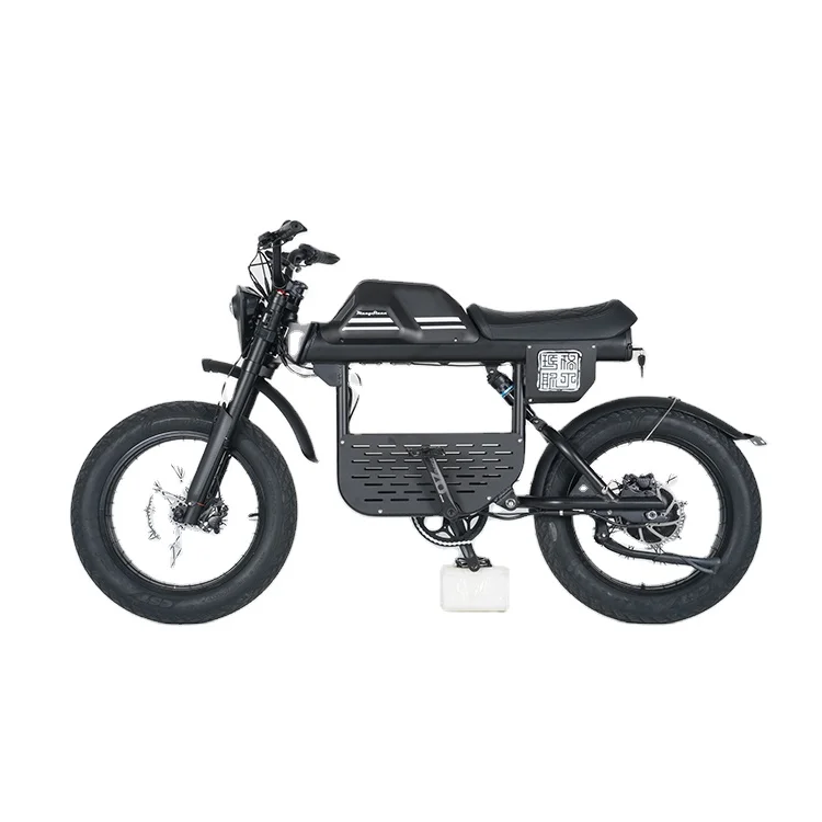 

STLF FT-01 50Km/H Electric Mode 100Km Cheap Price 1000W Electric Road Bike Motorcycles