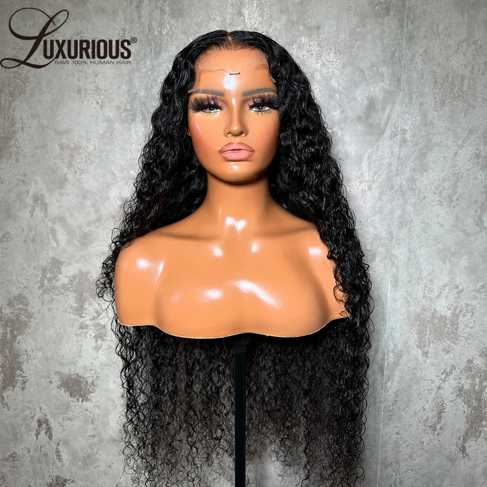 360 Full Lace Curly Wig Brazilian Remy Human Hair Invisible 13x4 Lace Frontal Human Hair Wig Bouncy Curly Wig Human Pre Plucked