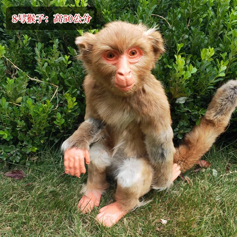 3D animal model monkey hanging on tree, life size museum showcasing monkey animals