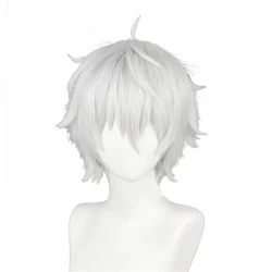 Seishiro Nagi Cosplay Wig Short Wig Silver White Hair Anime Cosplay Heat Resistant Synthetic Wigs