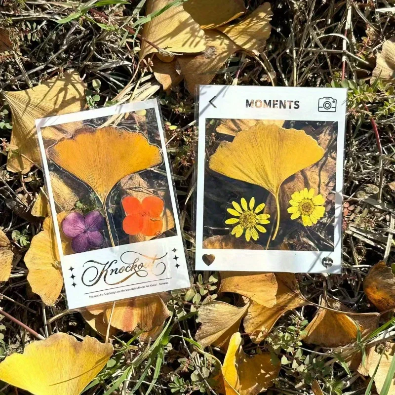 Przezroczyste naklejki samoprzylepne do rękodzieła DIY - błyszczące geometryczne wzory liści i kwiatów, naklejki do scrapbookingu, zakładki do książek