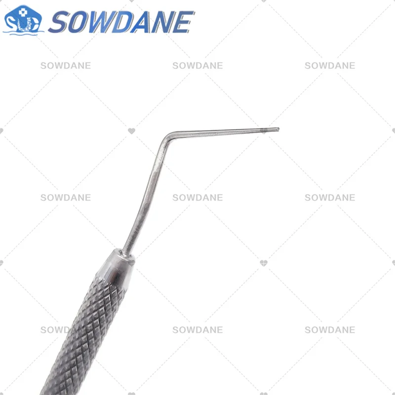 Dental Stainless Steel Endodontic Probe Explorer Flat/Tapered Instrument Tool Oral Care Teeth Whitening
