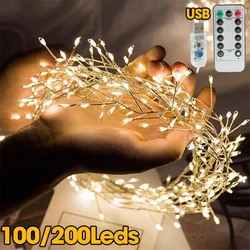 Holiday Lighting USB 3/6M LED Copper Wire String Lights Remote Control Fairy Garland Lights for Christmas Wedding New Year Party