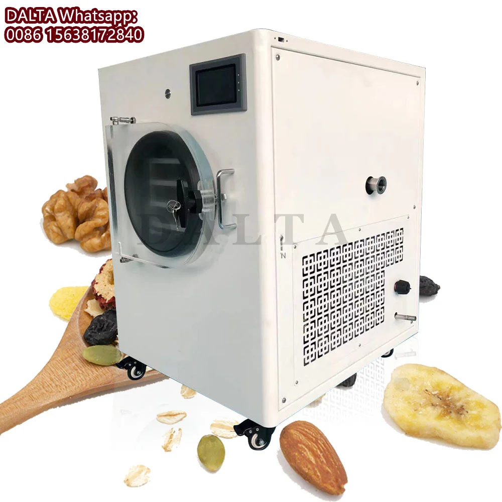 Small Home Use Vacuum Freezer Dryer Machine Fruit Vegetable Vacuum Freezer Equipment