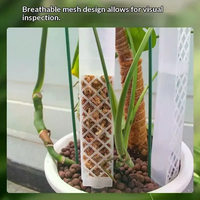 D Shaped Self Watering Plant D - Sphagnum Moss Dry 评论和价格