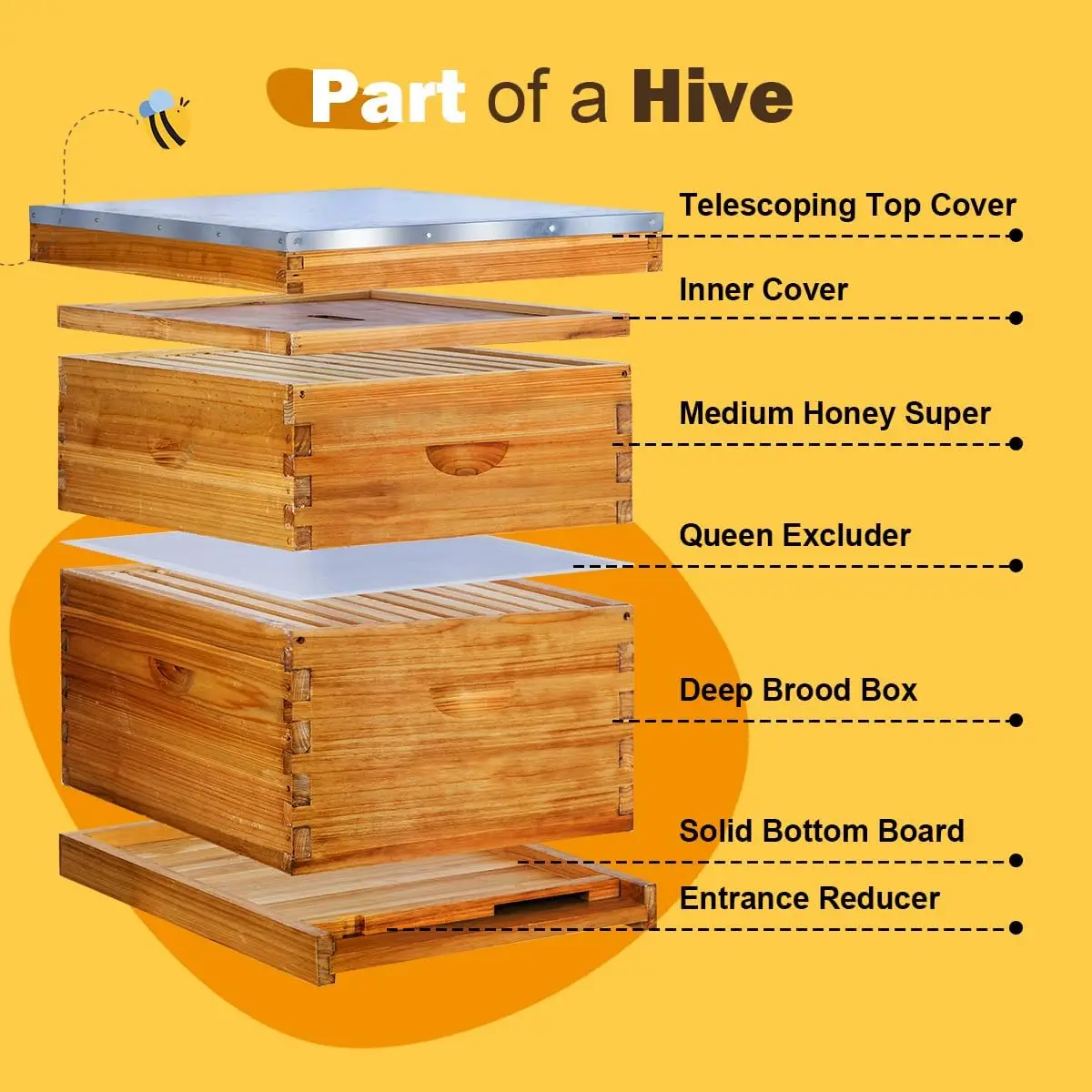 10 Frame Langstroth Beehive Kit Dipped Heavy Beeswax Bee Hives 1 Deep Bee Box 1 Medium Bee Hive Box Frame Foundation Unassembled