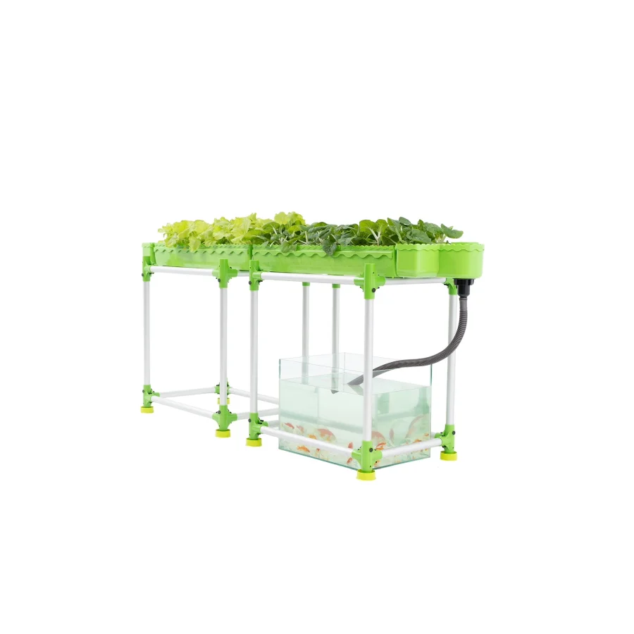 Large Indoor  System for Easy Greenhouse Agriculture for Fish and Vegetable Growing in Families