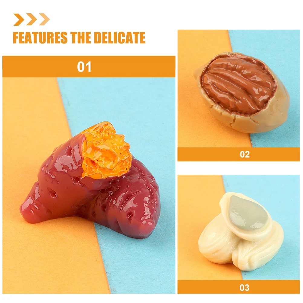 

15 Pcs Simulated Nuts Mini Diy Decoration Realistic for Display Miniature Resin Artificial Walnut Model