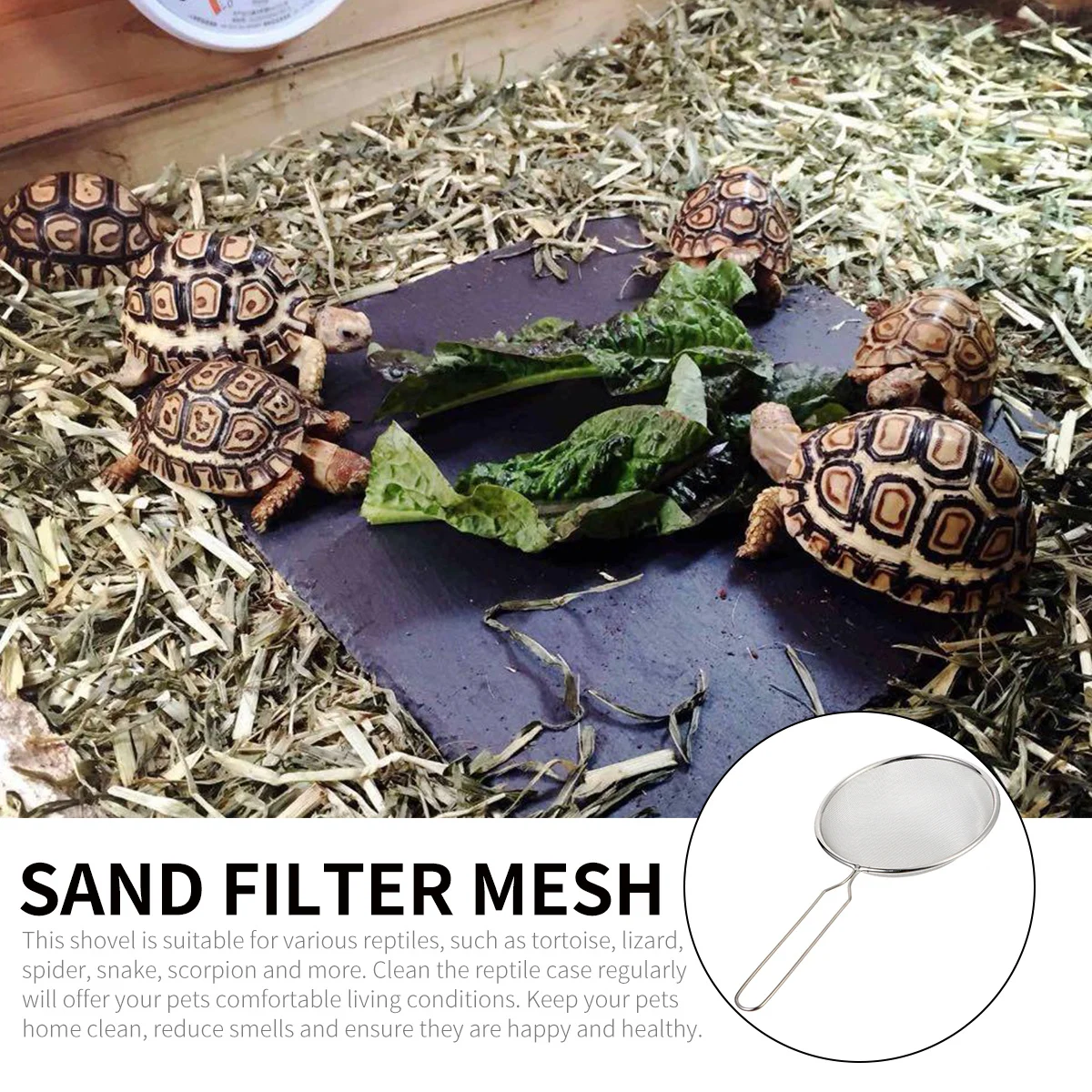 

Stainless Steel Filter Shovel Reptile Sand Shovel Fine Mesh Sieve For Reptile Cleaning Tool Pet Supplies Insect Enclosure