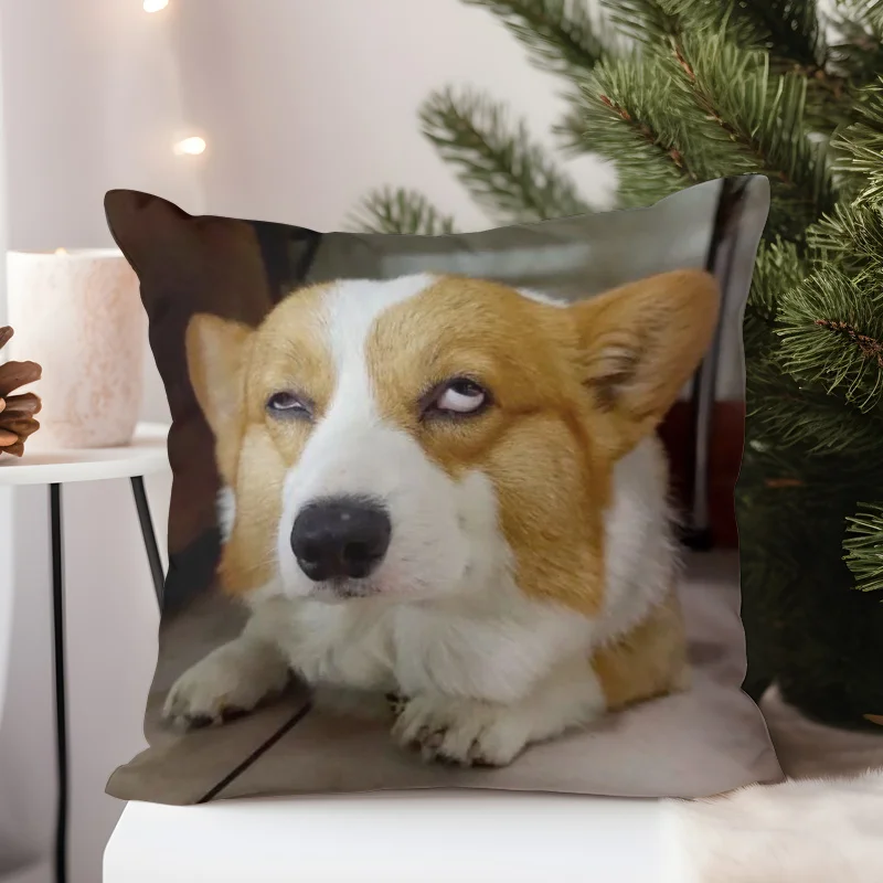 Double Sided Cute Corgi Dog Design Soft Throw Pillow Cover for Bed Sofa and Lounge Chair Holiday Home Decoration