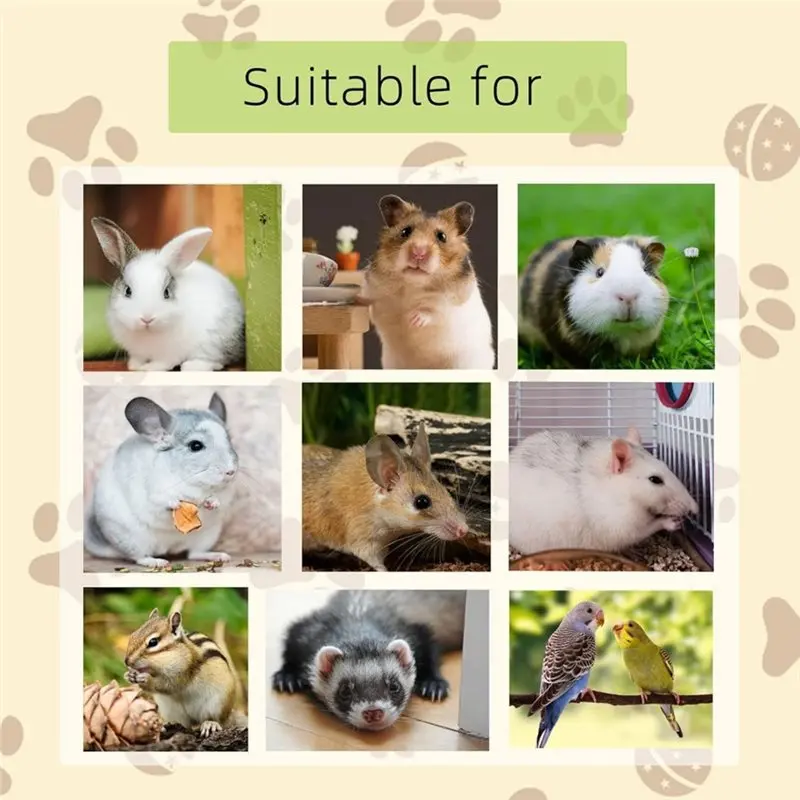 [A92P!】 20Pack Small Animal Lava Bites Hamster Teeth Grinding Block