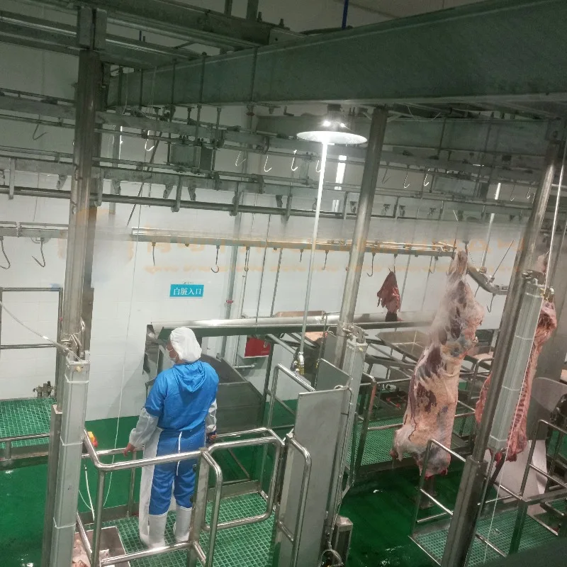 خط ذبح الماشية مطابقة إجراءات ذبح الماشية