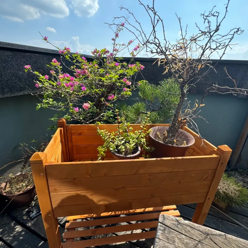 

Large Wooden High-Capacity Box Raised Garden Bed
