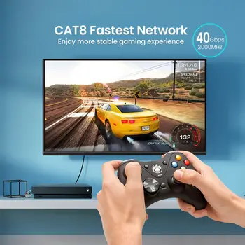 8 best sales חתול 8 - №5