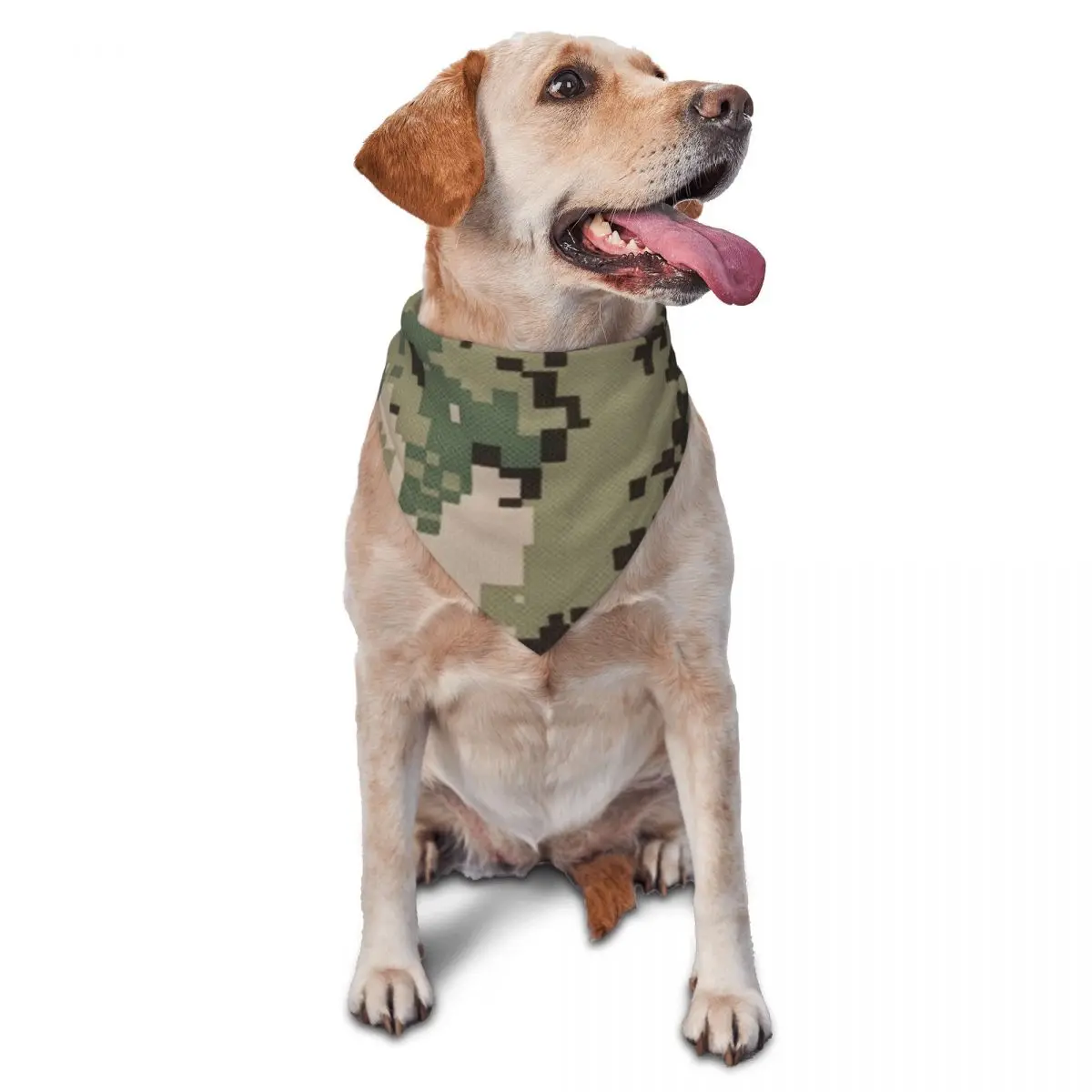 Nwu Green Digital C… - image