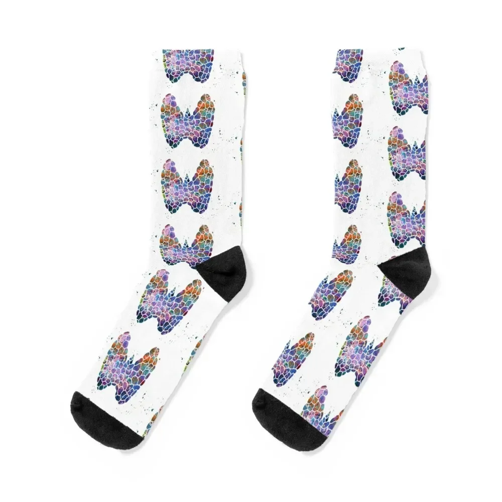 Thyroid Gland Structural Scheme Anatomy Socks soccer anti-slip cartoon Socks For Women Men's