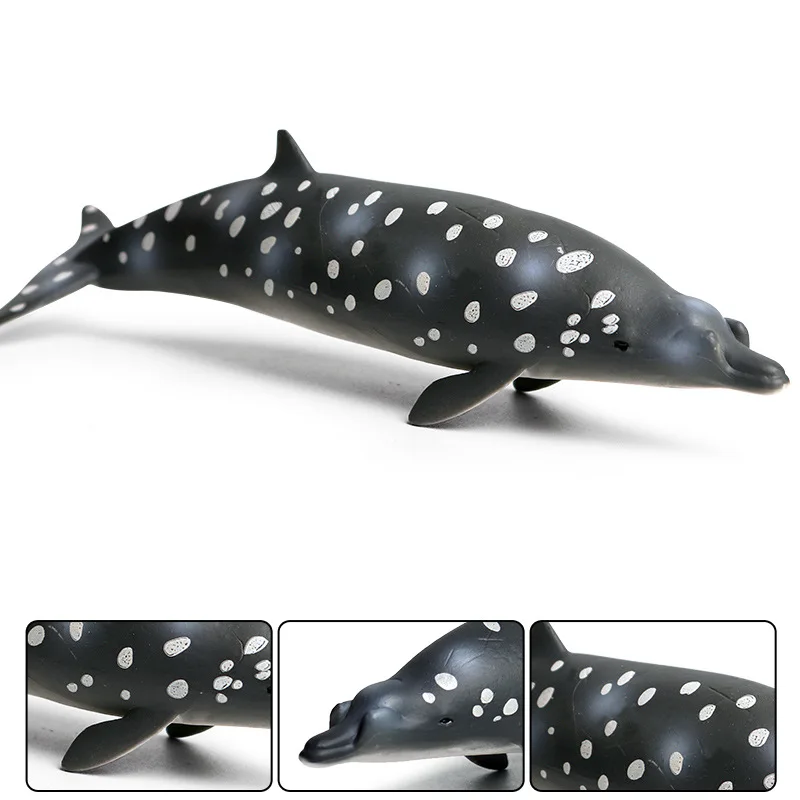 Juguete de modelo de animal marino para niños, juguete de cognición sólida, tiburón ballena, ballena de pico medio de Brandt, benthos