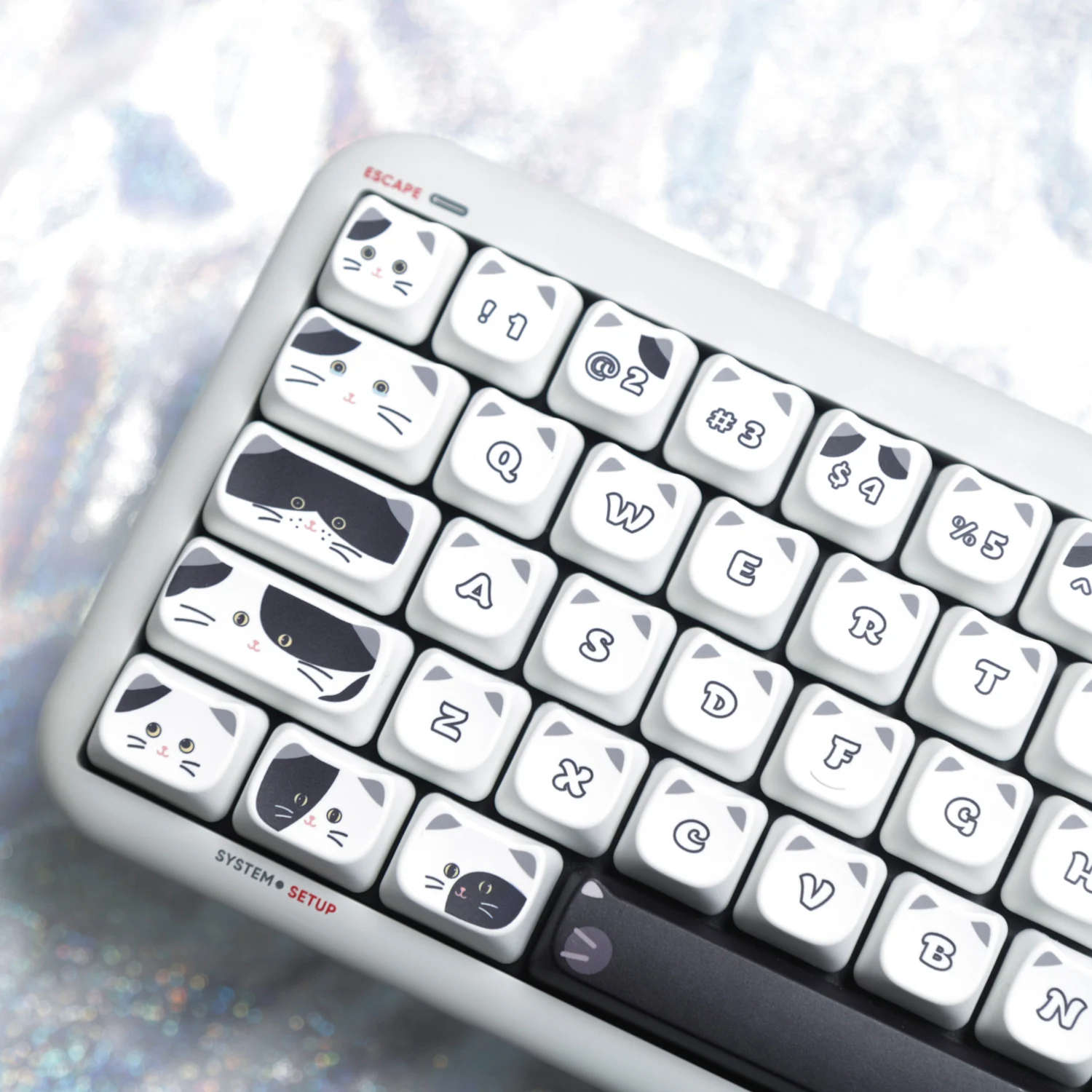 Imagem -03 - Kitten Keycaps Dye-sub Mao Perfil 134 Teclas Material Pbt em Estoque Preto e Branco