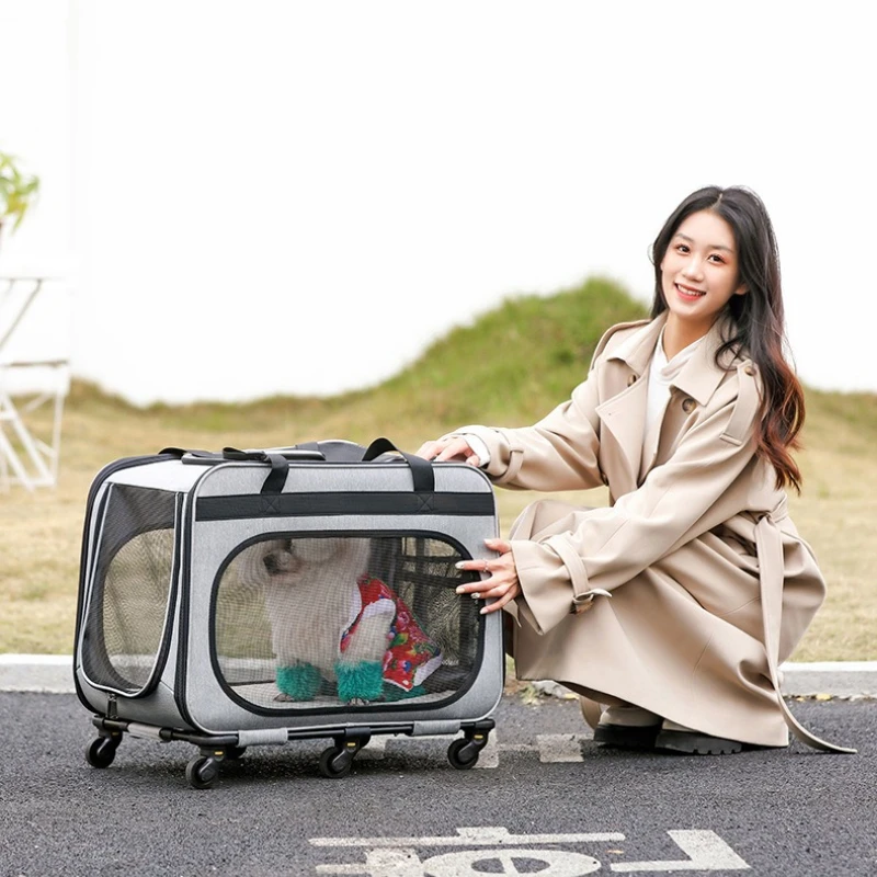 

2-in-1 Rolling Pet Carrier Large Detachable Wheeled Cat Bag with 6 Wheels Oxford Portable Travel Carrier for Cats, Trolley Style