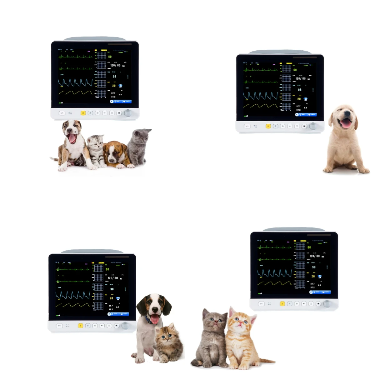 

High Quality CE ISO Approved Veterinary Ultrasound Equipment for Dogs & Cats Reusable 15-inch LCD Veterinary Made China