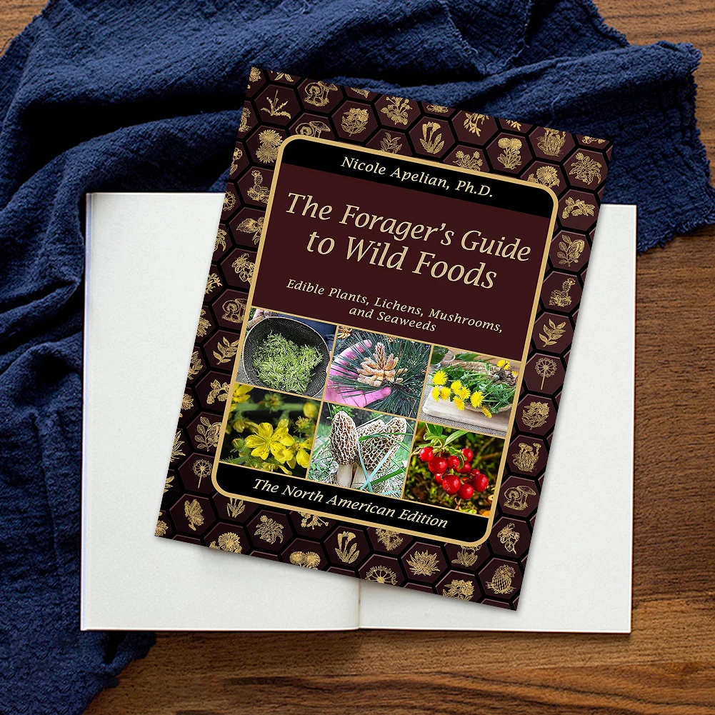 The Foragers Guide To Wild Foods English Paperback Book Color Inner Pages A Foragers Guide To Guide to Edible Wild Plants Gifts