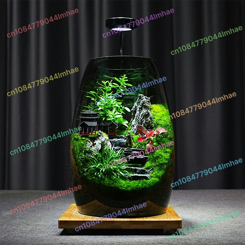 

Office Desk Moss Terrarium Kit in Glass Jar Self Sustaining Ecosystem for Home Office Decor Stress Relief Low Maintenance
