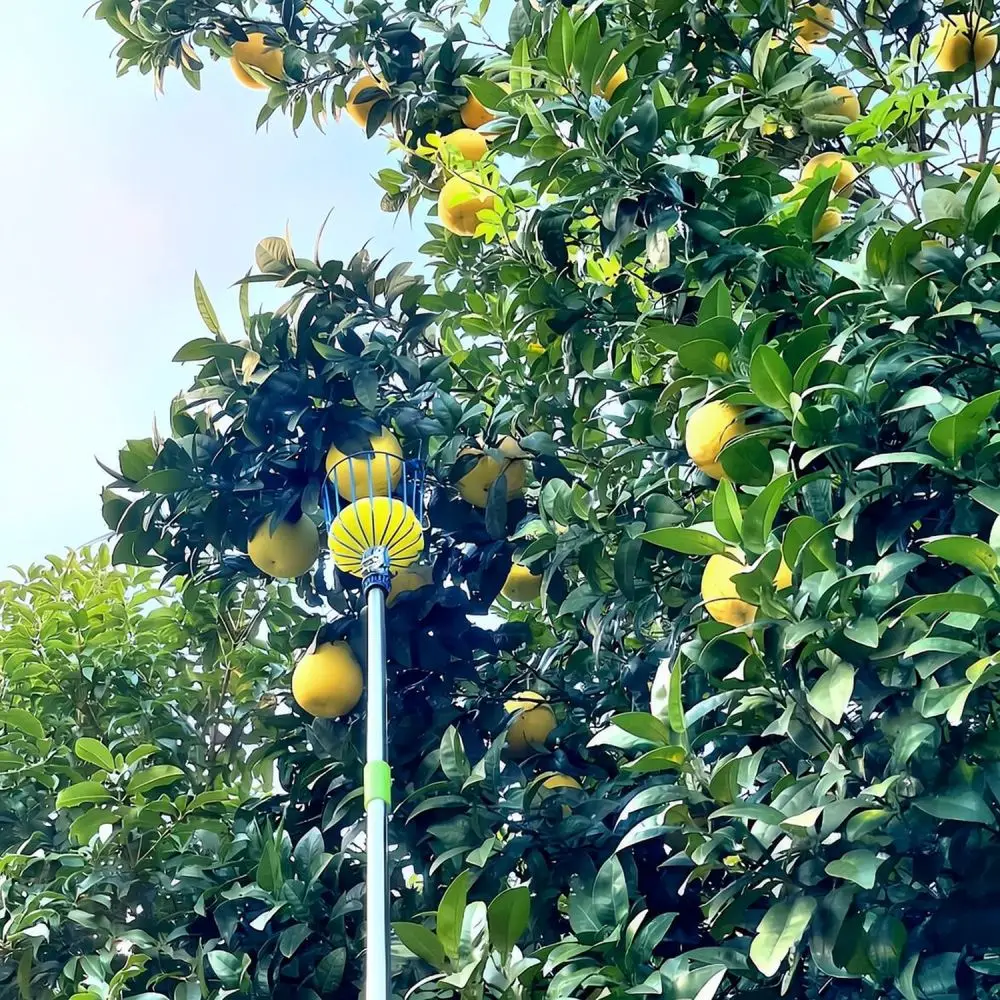 Stainless Steel Fruit Picker Pole For Wancheng Orchard Harvesting Tool High Reach Tree Fruit Picking Device
