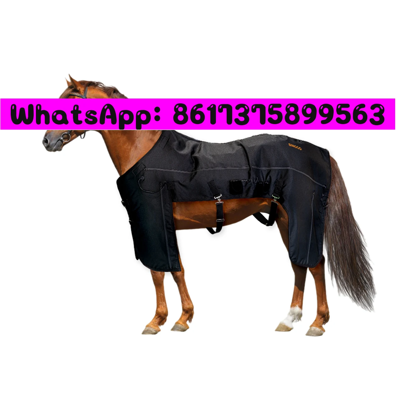 Equestrian Horse Pa…