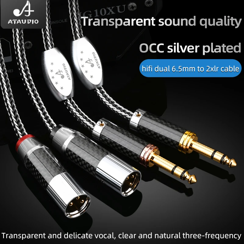ATAAUDIO Câble audio 6,35 mm TRS vers XLR Argent 3