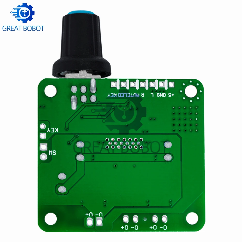 BS Bluetooth 4.2 TPA3110 Digital Stereo Amplifier Module 15W+15W 12V-24V for Car USB Portable Speakers