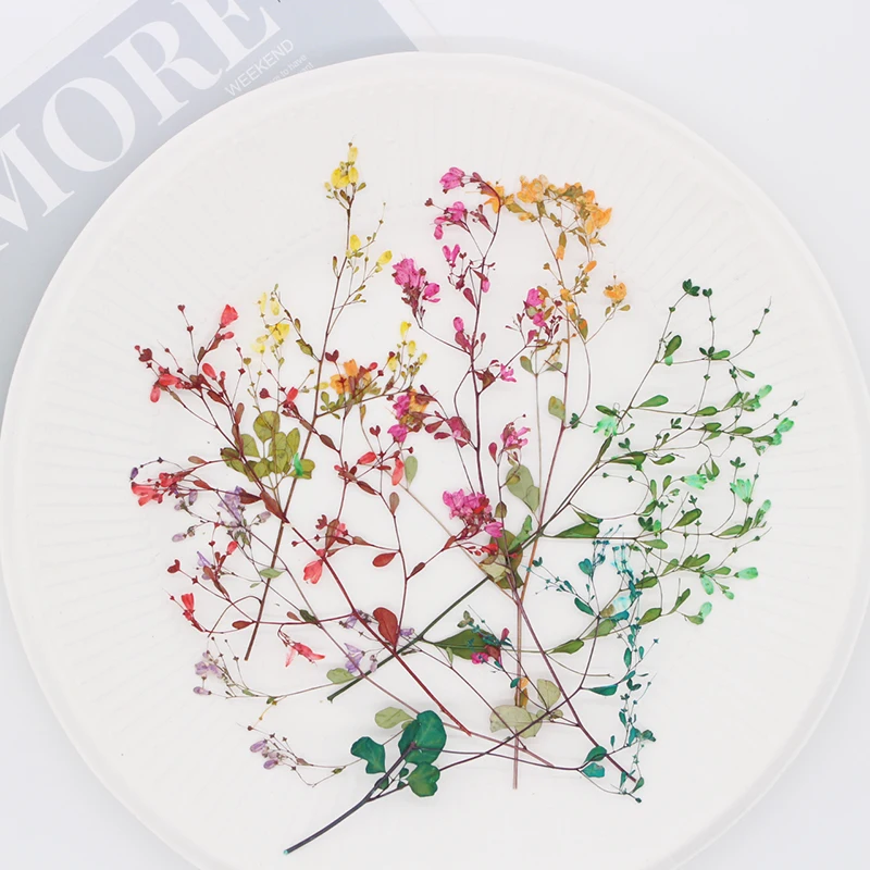 

20PCS/5-12cm,nature Tang Songya pressed Flower branches,dry flower Material DIY Drop Glue Jewelry Photo Frame festival Bookmark