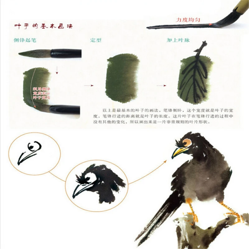 Pintura tradicional chinesa Tutorial Livro, Iniciantes da Entrada para o Mestre, Freehand, Já Tutorial