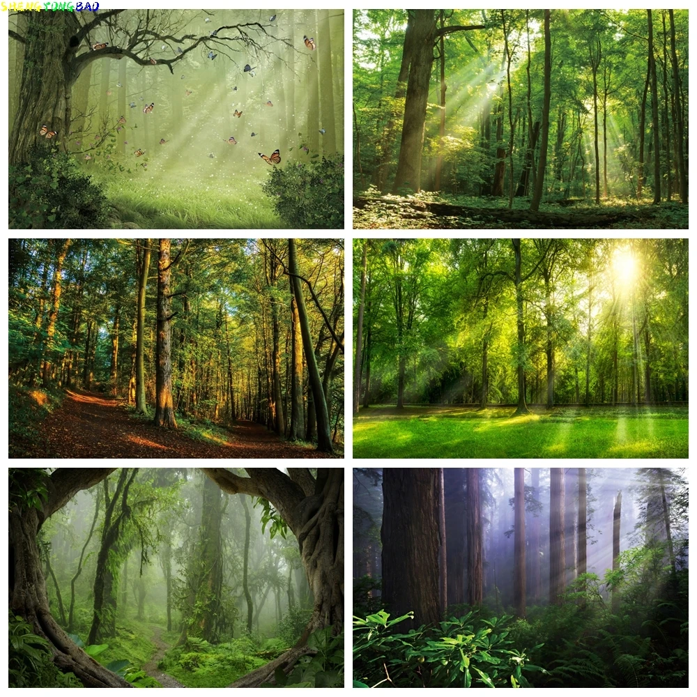 

Tropical Jungle Forest Backdrop for Photography Rain forest Green Natural Landscape Camping Adventure Birthday Photo Background