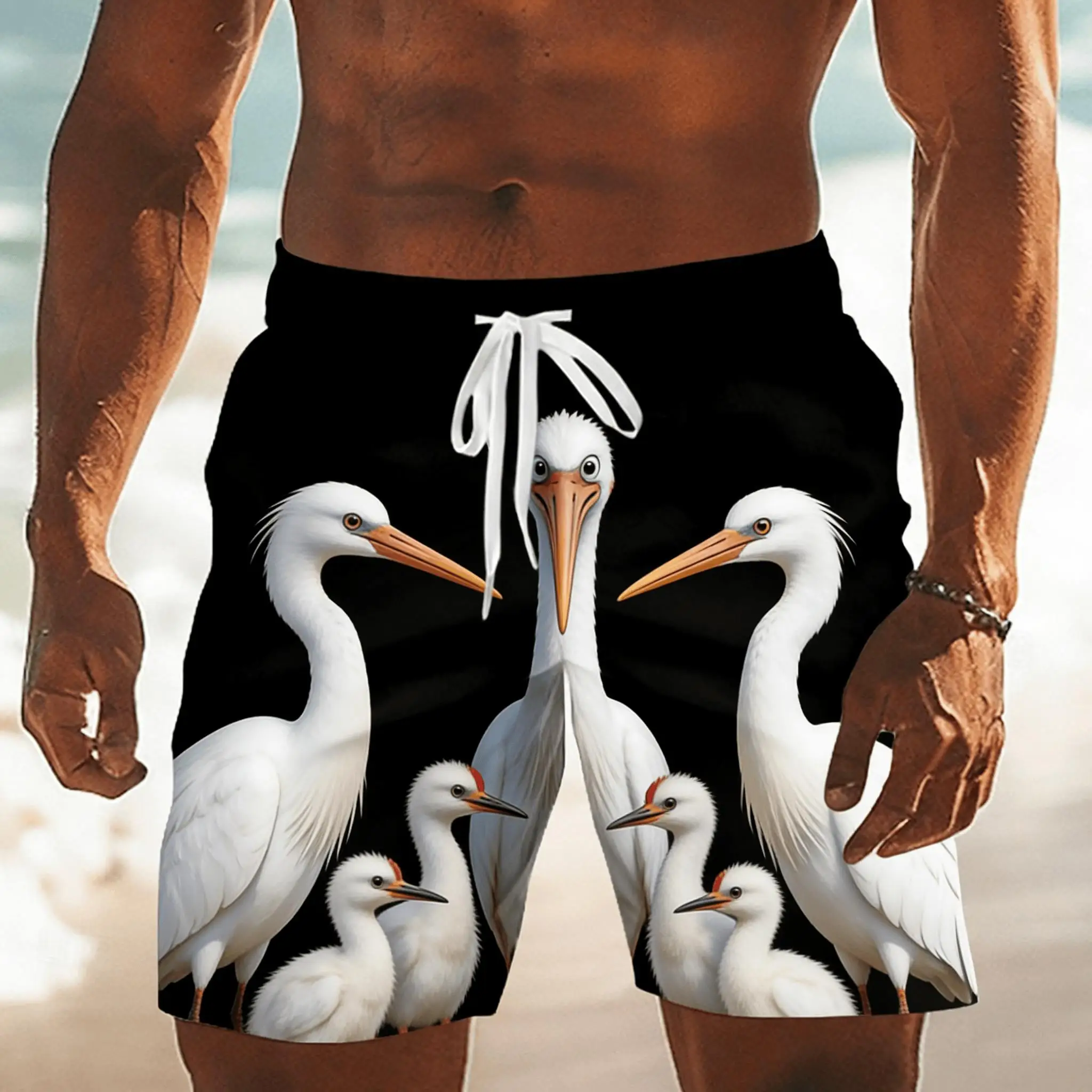 Men's Black Bird Family Print Drawstring Shorts, Spring Summer Fun Nature Casual Shorts, Pocket Beach Shorts