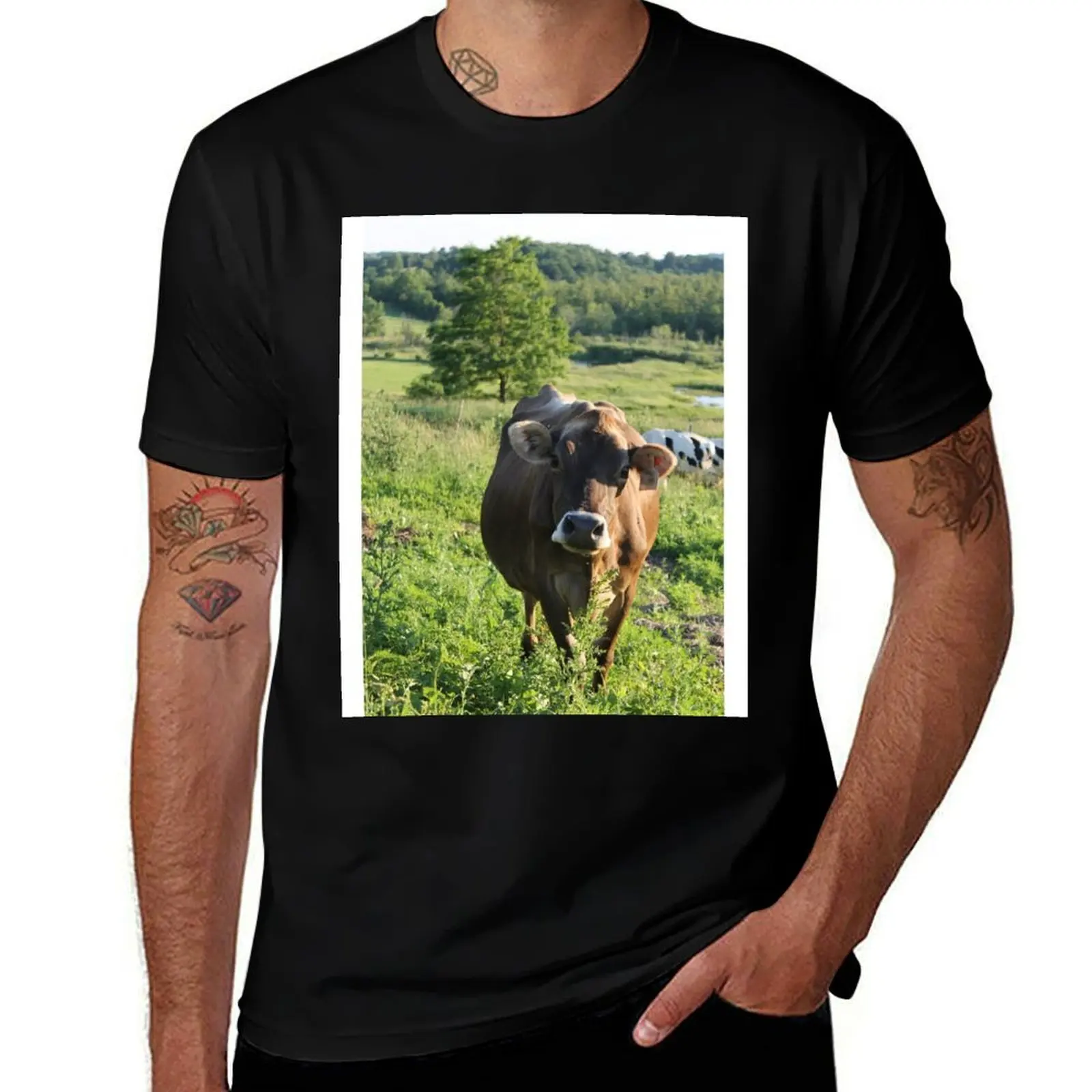

Brown Swiss Heifer T-Shirt t shirt for man graphic t shirts for man t shirts cotton 100% T-Shirt