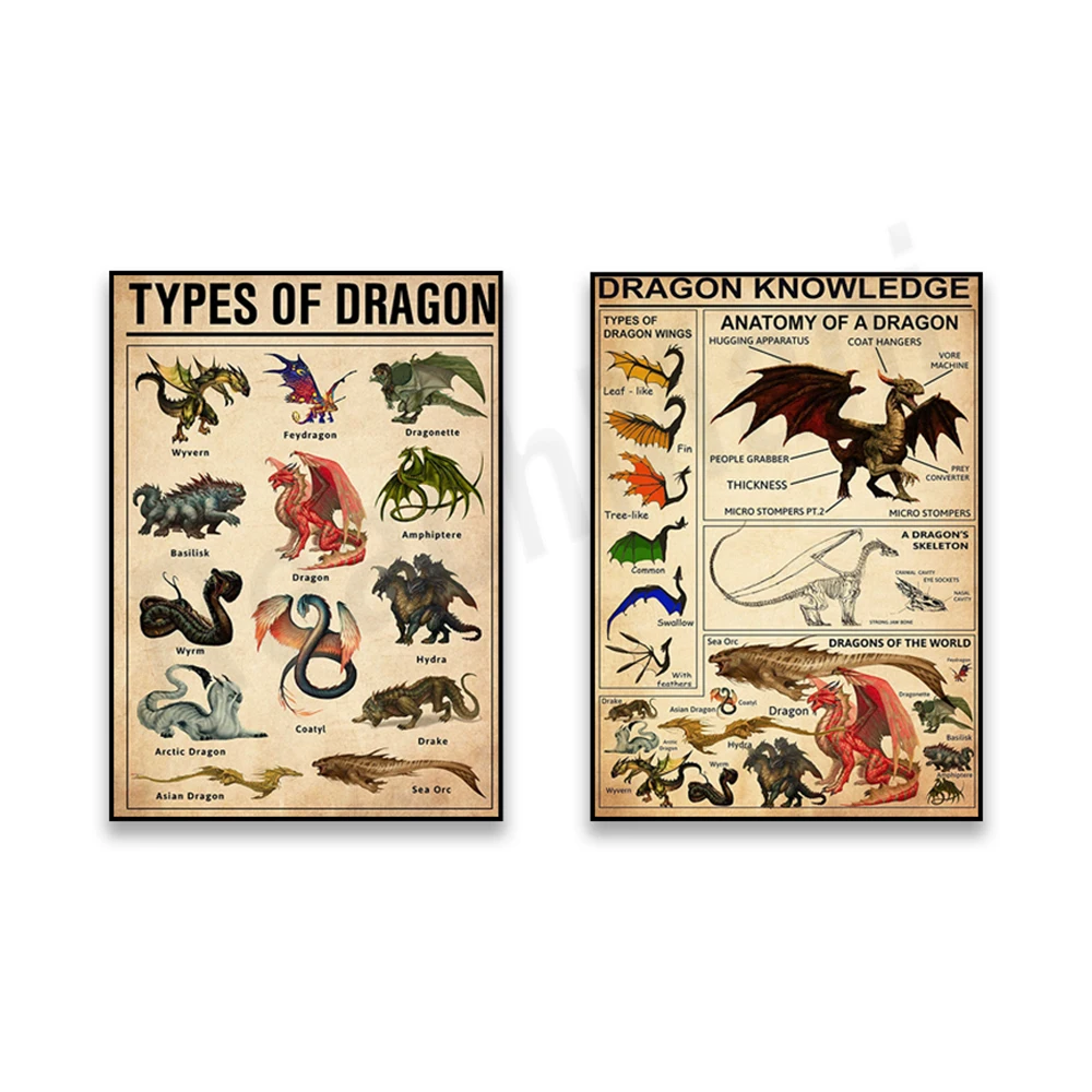 Types de dragons, impression artistique sur la connaissance des dragons, affiche sur l'anatomie des dragons, types d'ailes de dragons, affiche vintage incroyable sur les dragons, cadeau