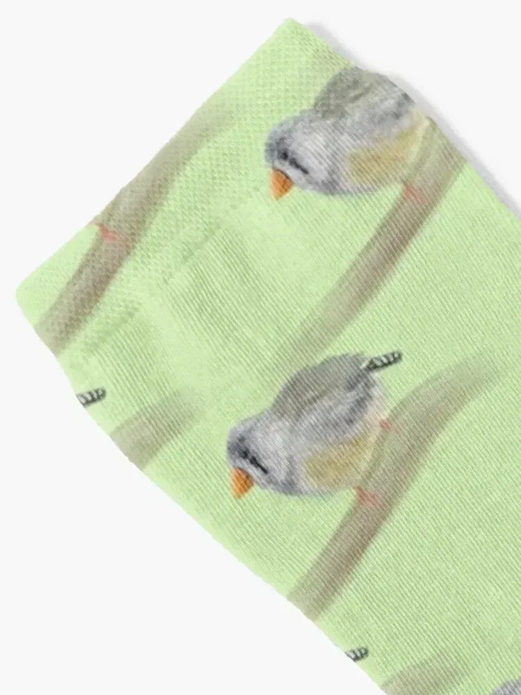 Zebra Finch on Tiles Tea Green Edition Socks hockey Soccer Socks Ladies Men's