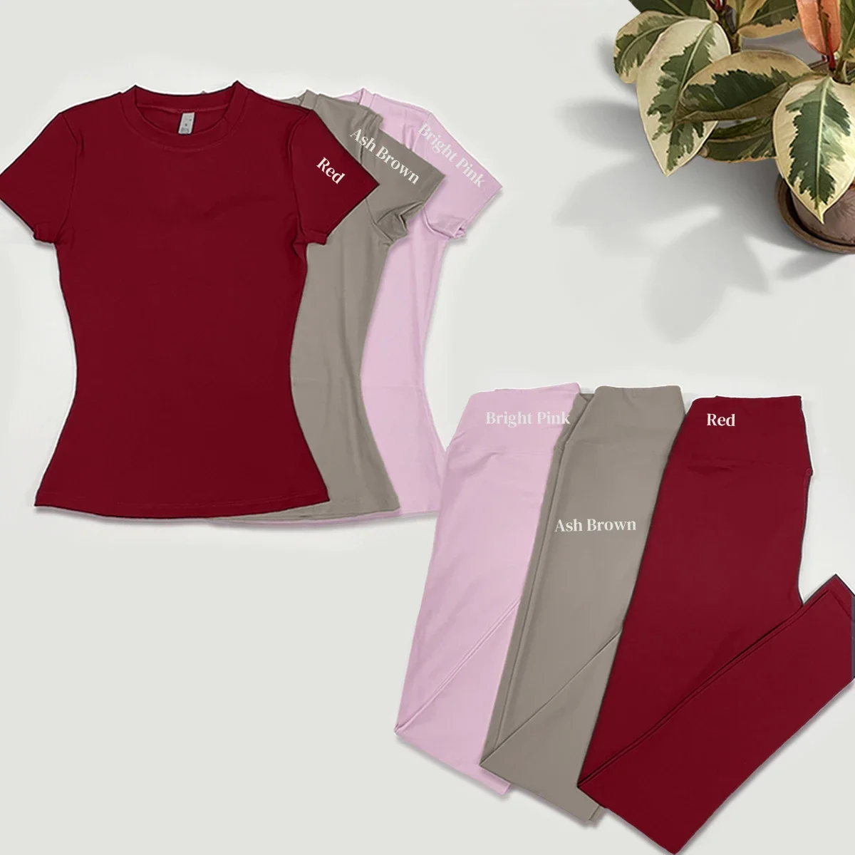 No Logo 2 Pcs Gym Set Women‘s Short Sleeve T-Shirt & Sport Leggings Sport Suit Gym Clothes Workout Clothes