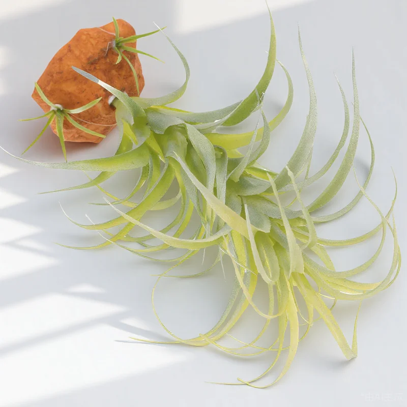 

Artificial Reptile Plants Terrarium Decor Lifelike Simulation Reptile Tank Plant Ornament Bearded Dragon Habitat Decoration