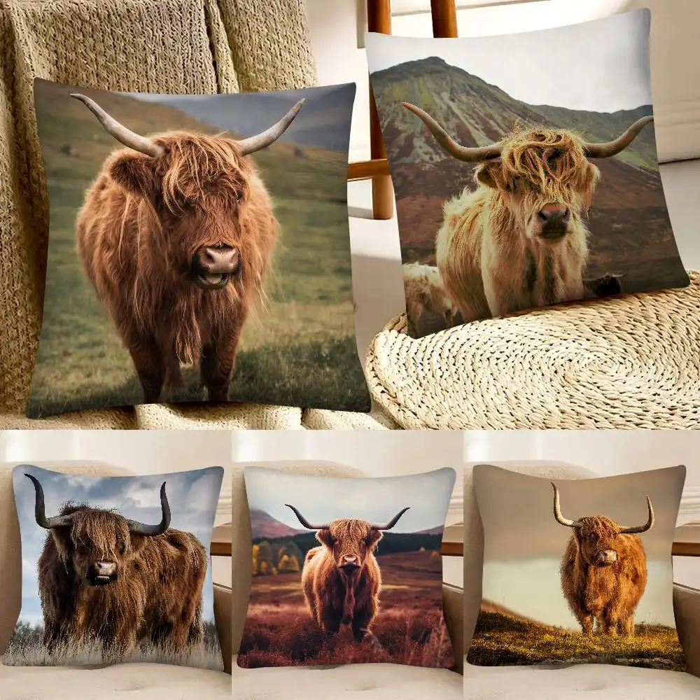Highland Cattle Pillow Case Fashion Square Pillowcase Bedroom Sofa Room Ins Decoration Leisure