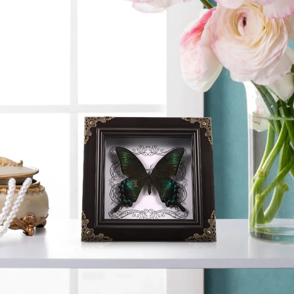 DIY Butterfly Specimen Photo Frame Display Frames Wall Hanging Holder Home Decor Ornament Framed Handmade