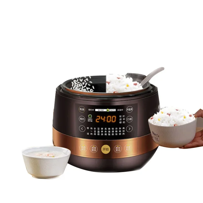 220V/1000W Double Layer Multi-Function Rice Cooker Intelligent Automatic Pressure Cooker 5 Liter Electric Pressure Cooker