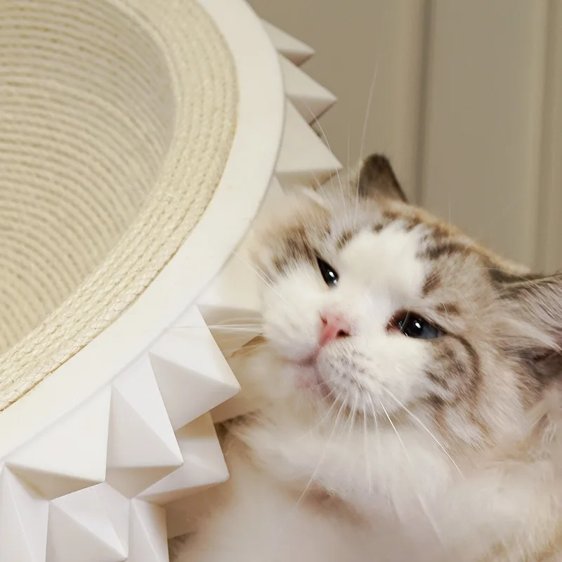 Durian Cat Bed Cat Scratching Board No Shavings Clawing Chair, Pet Wok Super Large Cat Couch for Indoor Use