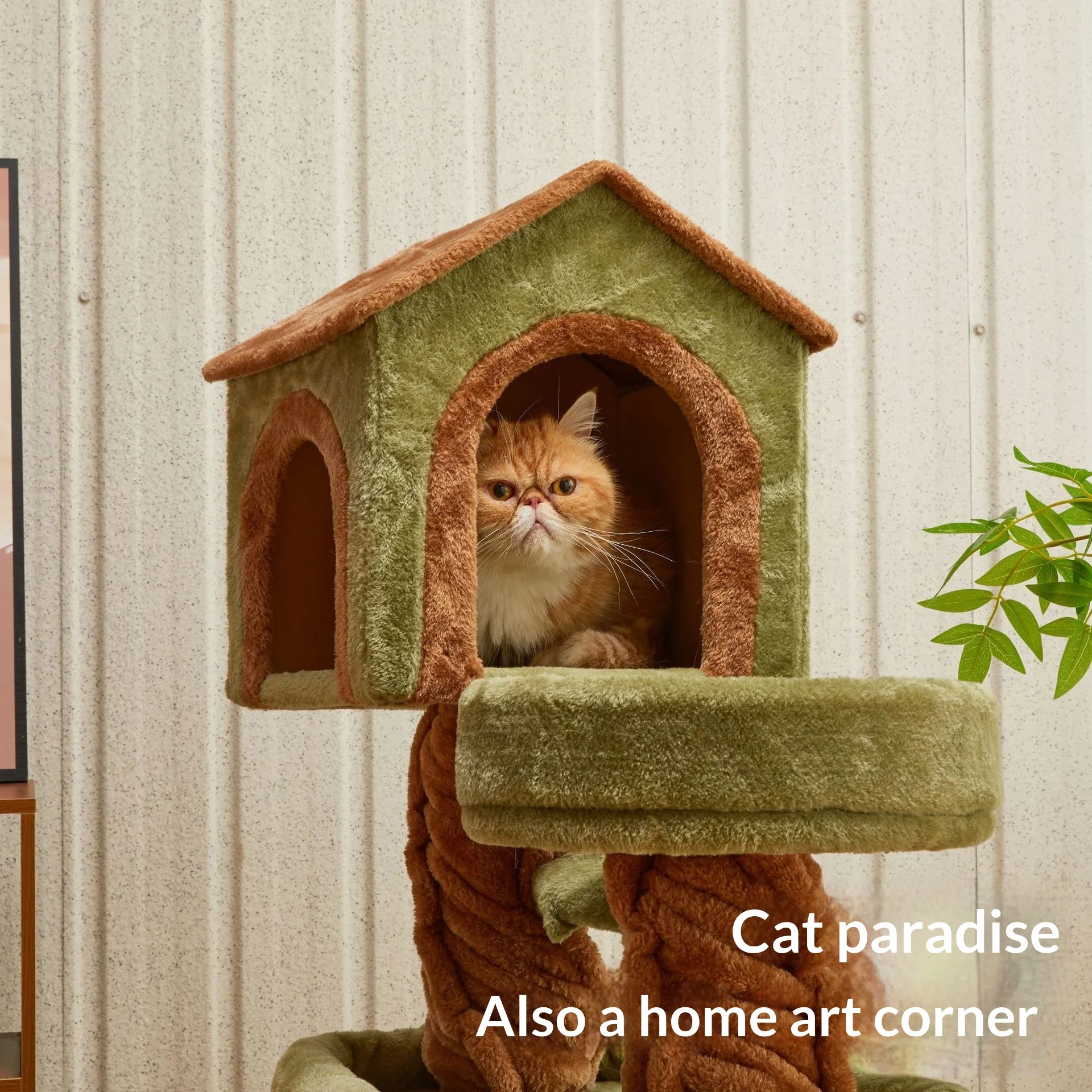 Árbol rascador de madera para gatos con cama y casa suave - imagen 4